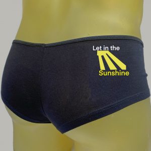 Let in the Sunshine Black Booty Shorts