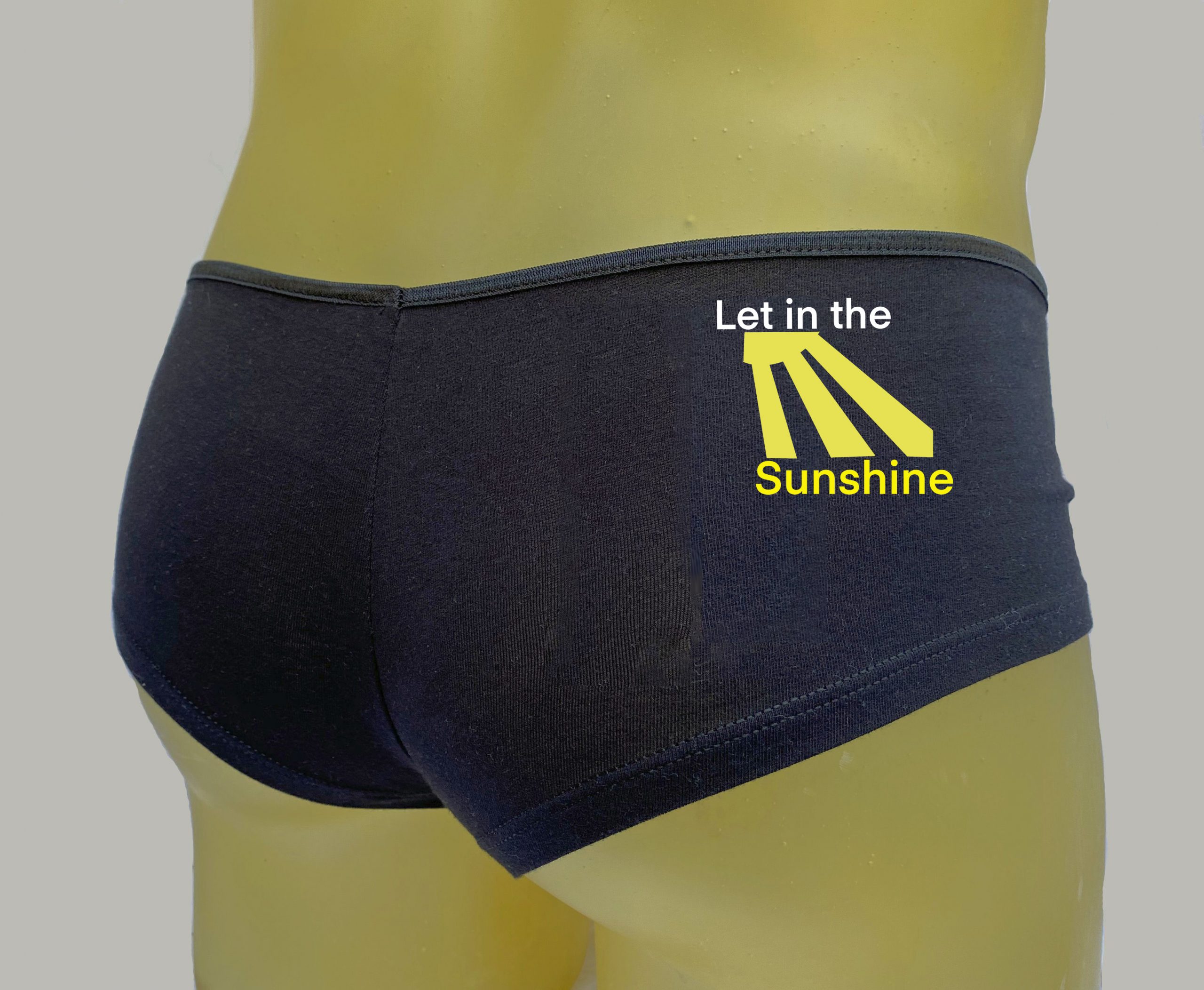 Let in the Sunshine Black Plus Size Booty Shorts