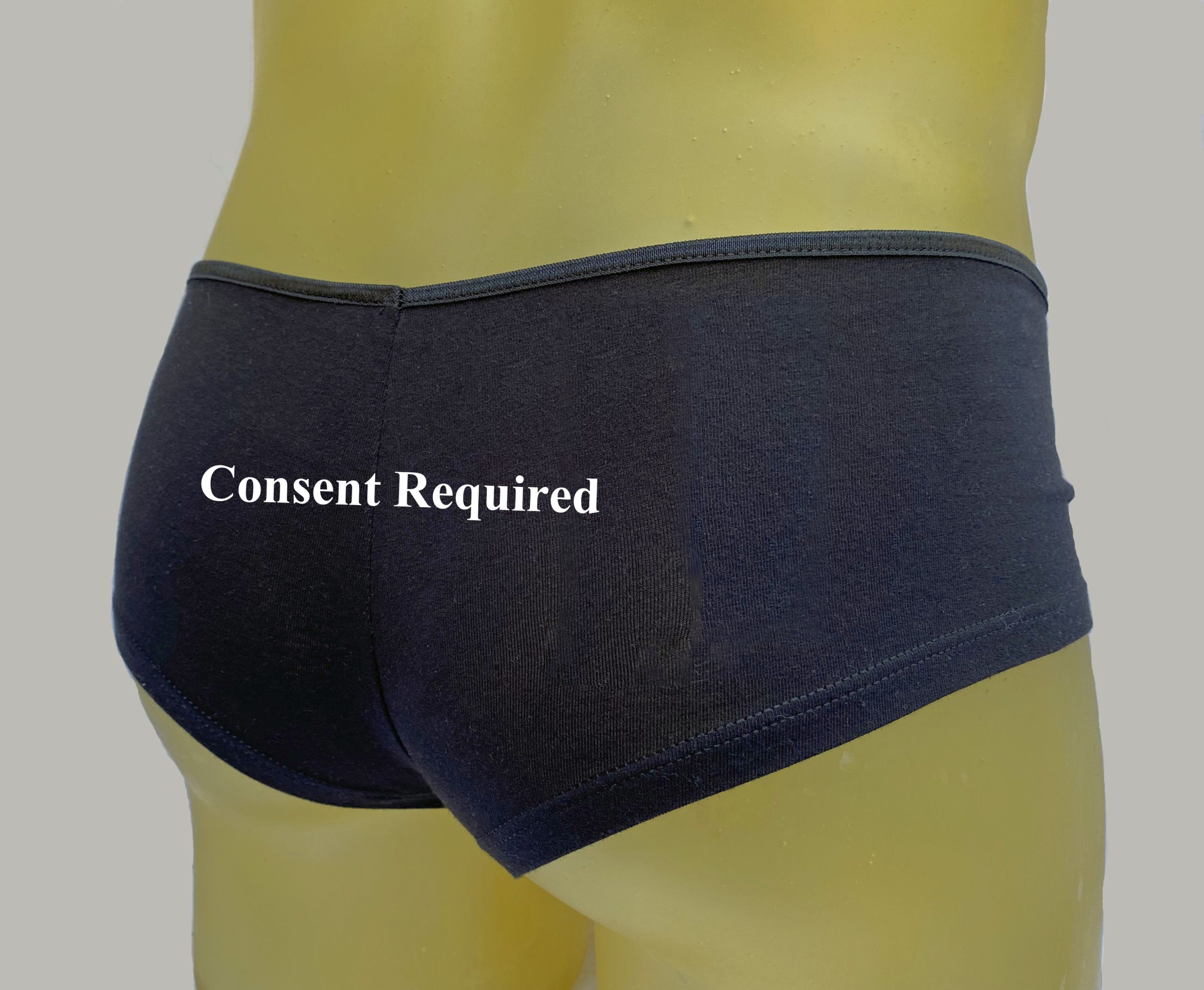 “Consent Required” Black Plus Size Booty Shorts